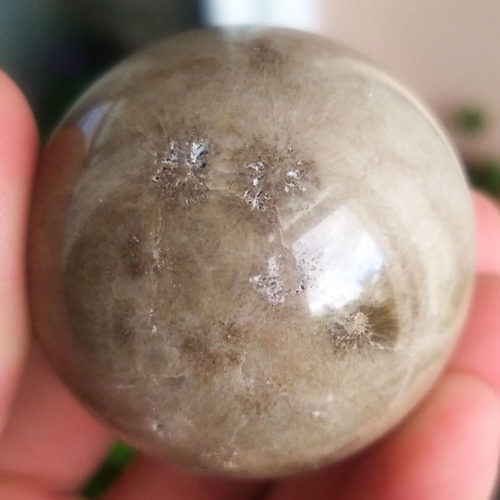На фото шар из кораллового камня 51 мм KOR02